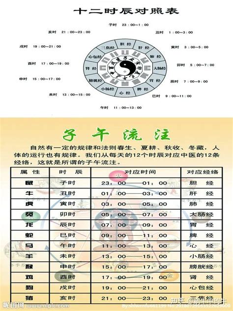 地支天干|天支地支 十二时辰对照表